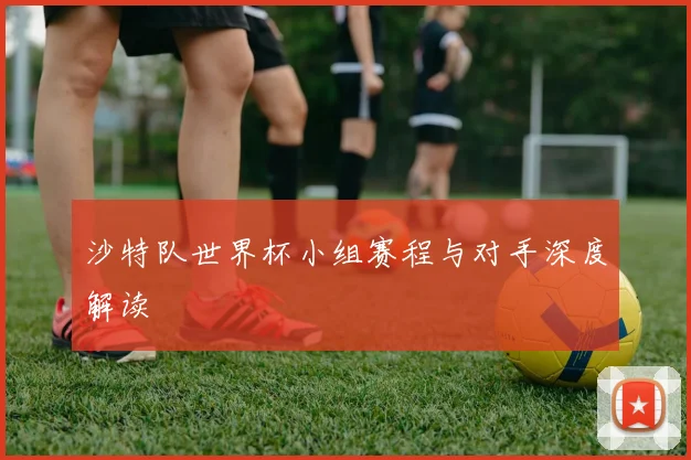 沙特队世界杯小组赛程与对手深度解读