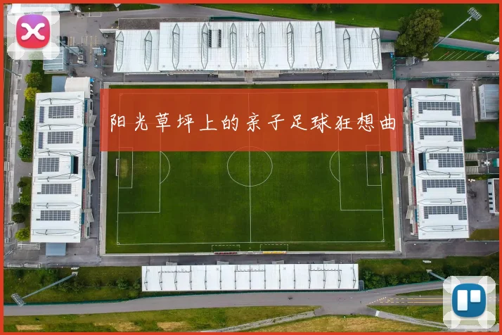 阳光草坪上的亲子足球狂想曲